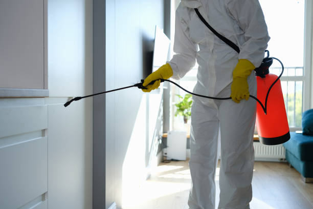 Best Mold Testing  in Linden, NJ